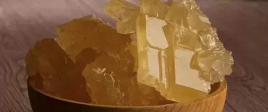 تاريخچه نبات
